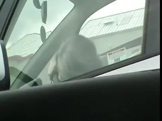 Strapon sunny leone ka hindi Jong bf in de buurt van het zwembad knipperen